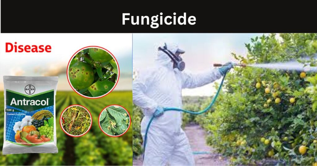 What Is Pesticide?