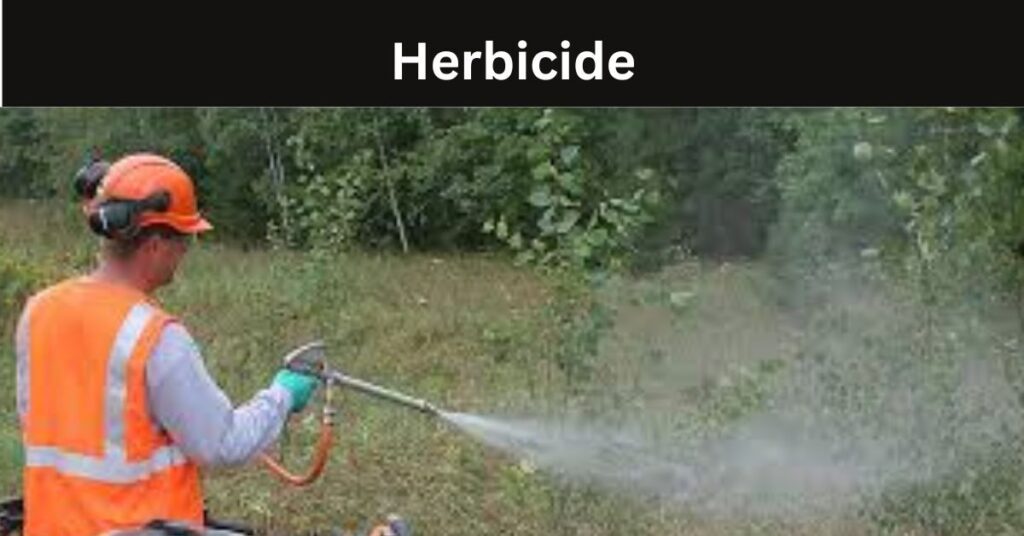 What Is Pesticide?