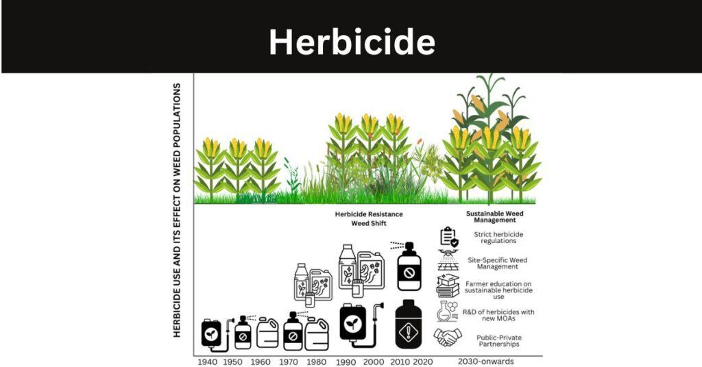 What Is Pesticide?