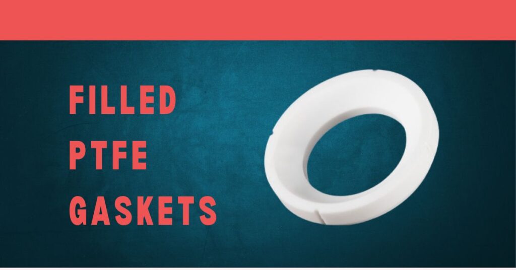 PTFE Teflon Gasket 